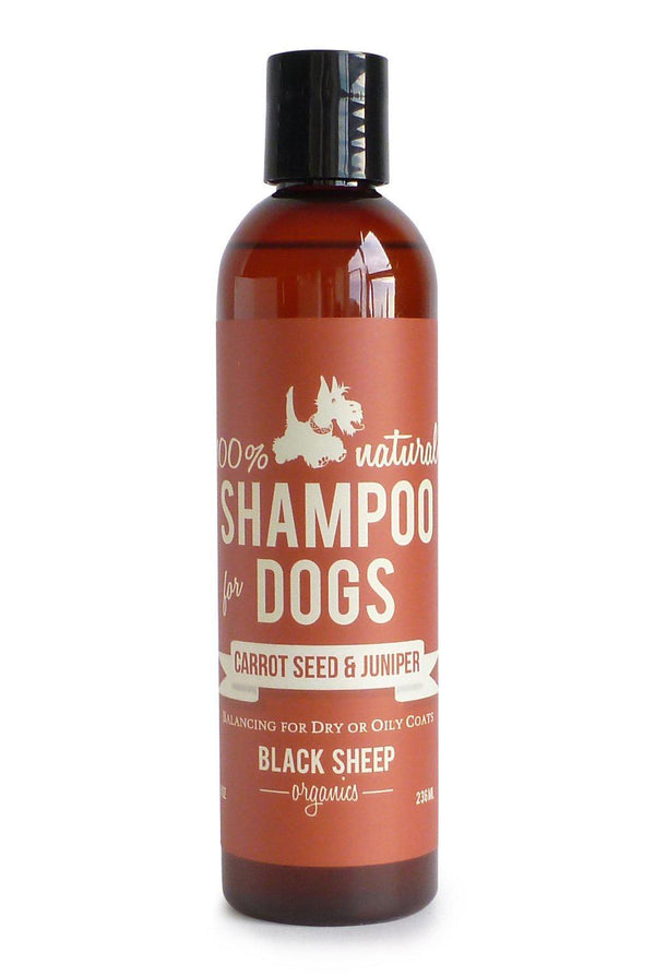 Carrot Seed & Juniper Organic Shampoo - Balancing Oils for Dry or Oily Coats