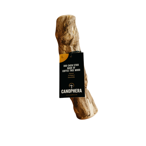 Natural Chew Stick (Large) - Coffee Tree Wood