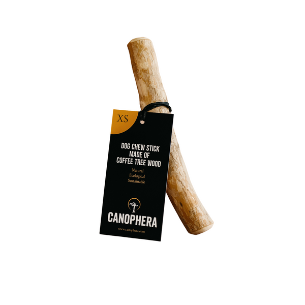 Natural Chew Stick (X-Small) - Coffee Tree Wood