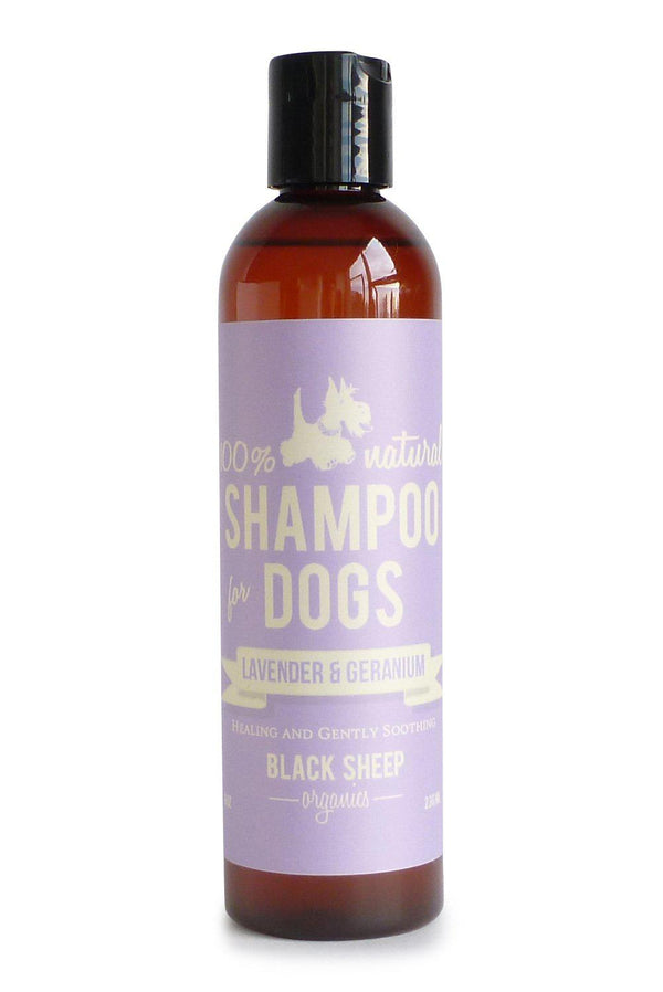 Lavender & Geranium Organic Shampoo - Healing & Gently Soothing