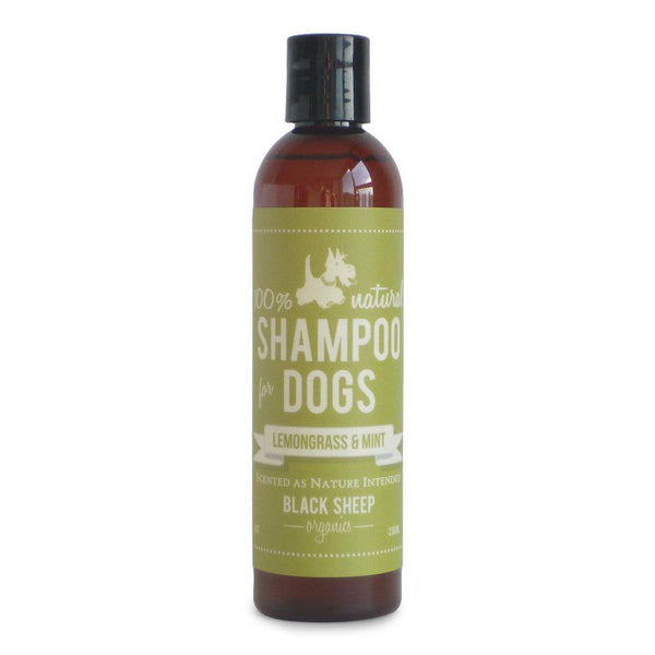 Lemongrass & Mint Organic Shampoo - Repels Fleas, Flies, Ticks & Mosquitos