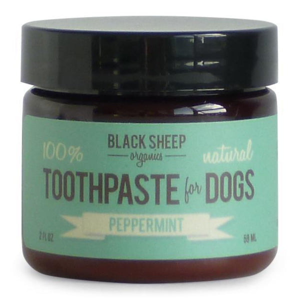 Peppermint Organic Toothpaste